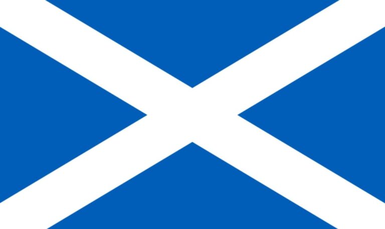 Buy Magic Mushrooms Scotland Online | Same Day Shipping